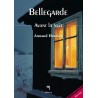 Bellegarde (3) - Avant la nuit